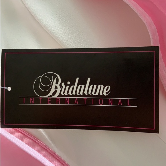 Bridalane Wedding Dress - Never Been Worn (size 6) - Picture 4 of 8